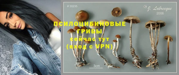 2c-b Гусиноозёрск